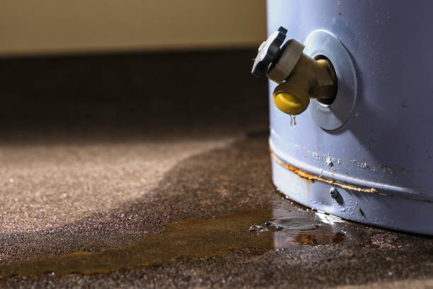 Best Flooded house restoration  in Tanglewilde, WA