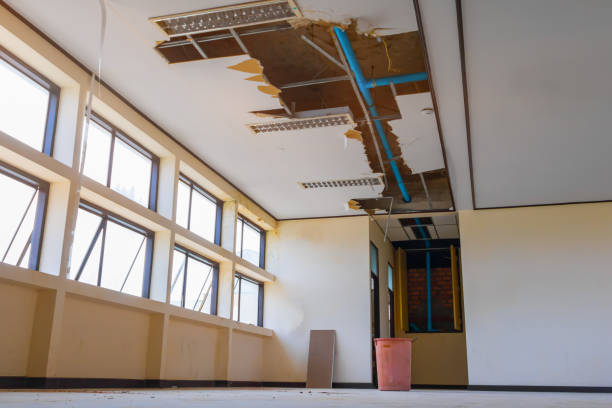 Best Ceiling water damage repair  in Tanglewilde, WA