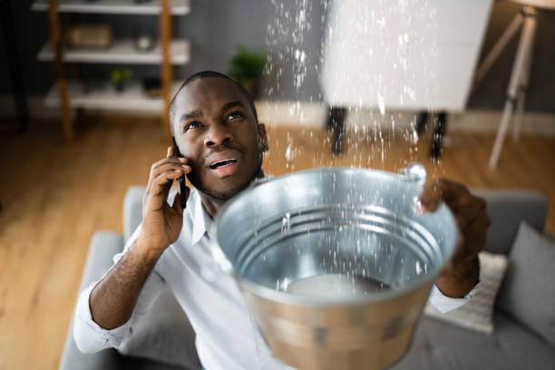 Best Emergency water extraction  in Tanglewilde, WA