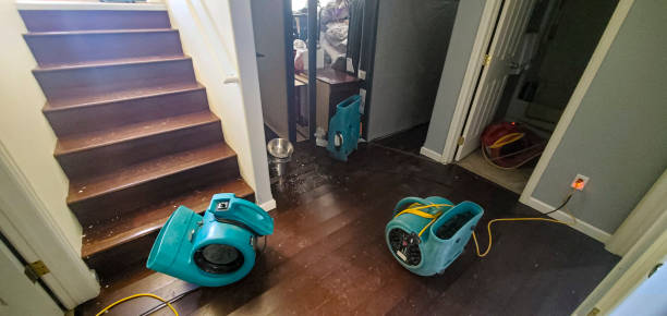 Best Water damage cleanup near me  in Tanglewilde, WA