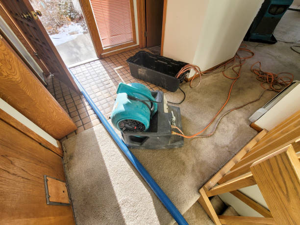 Best Professional water damage repair  in Tanglewilde, WA