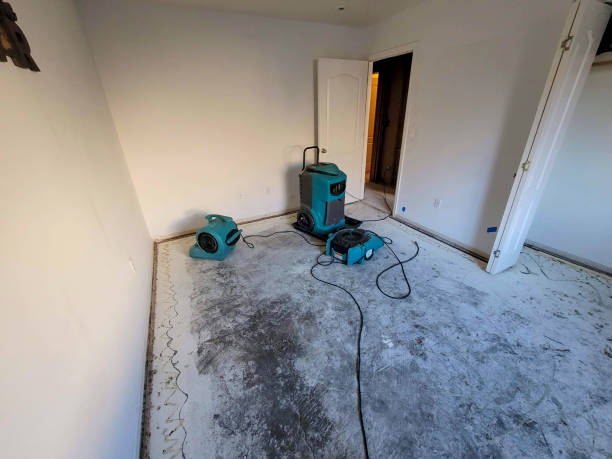 Best Water damage cleanup near me  in Tanglewilde, WA