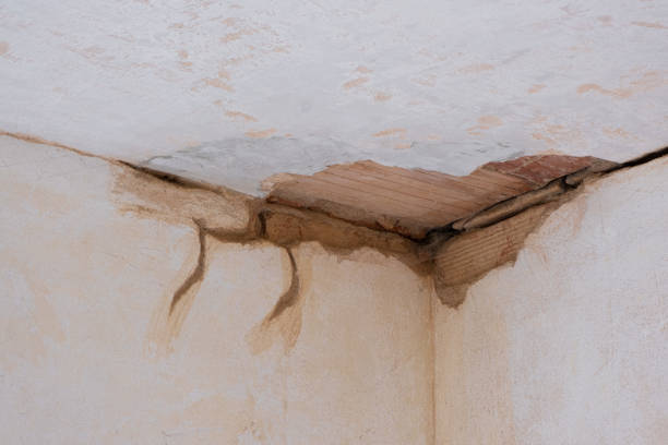 Trusted Tanglewilde, WA Water damage restoration Experts