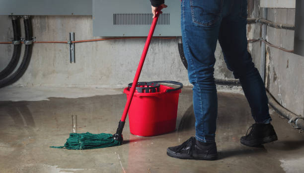 Best Local water damage restoration  in Tanglewilde, WA