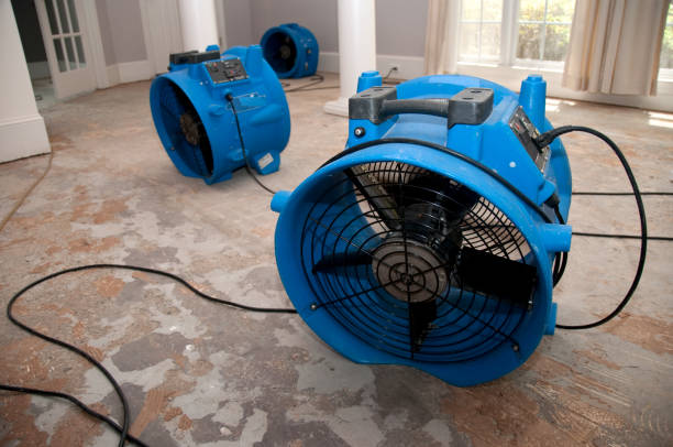 Best 24/7 water damage repair  in Tanglewilde, WA