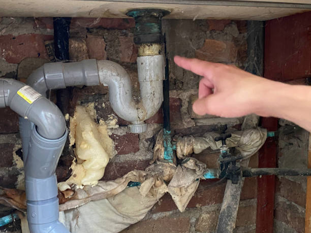 Best Water damage restoration near me  in Tanglewilde, WA
