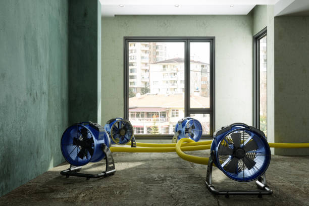 Best Water damage contractors near me  in Tanglewilde, WA