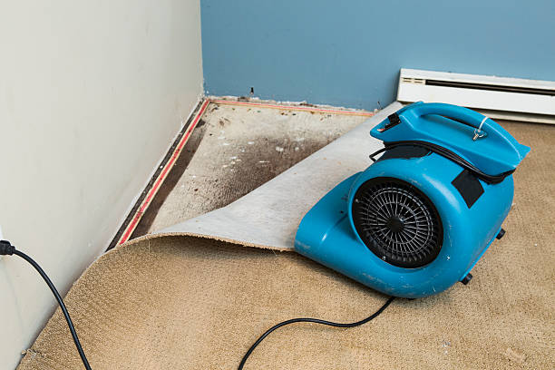 Best Sewage cleanup and water damage restoration  in Tanglewilde, WA